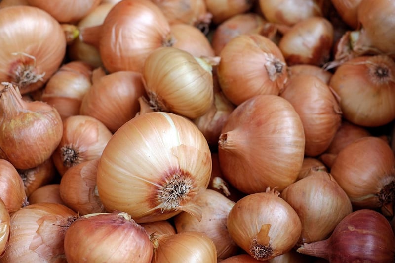 Diverse Culinary Roots